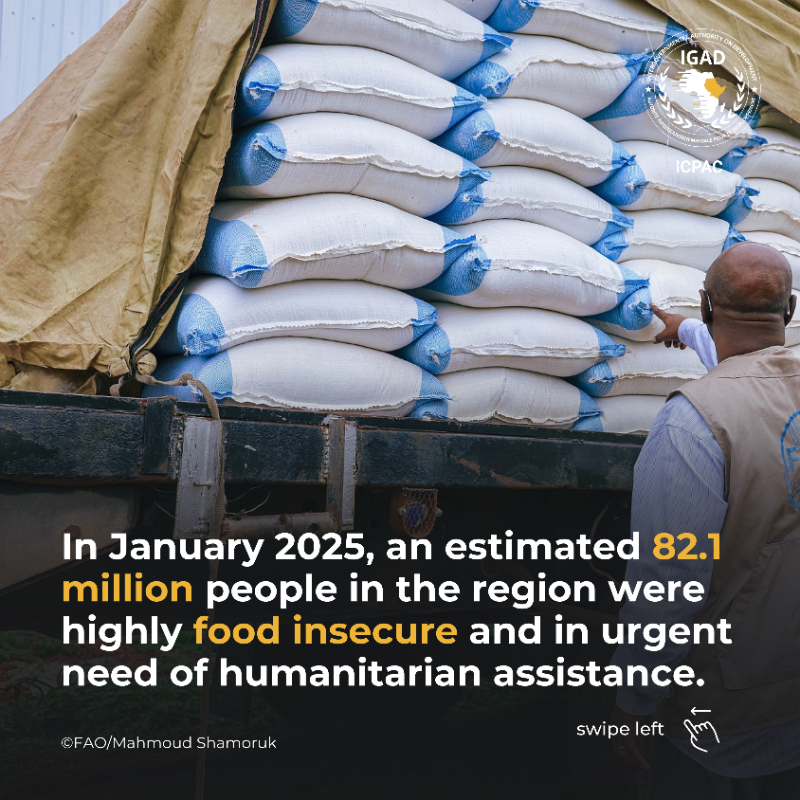 IGAD_CPAC's tweet photo. 🍲 The region continues to face severe acute food insecurity, including risk of famine in #Sudan 🇸🇩, with 82.1 million people in 11 of the 13 #FSNWG countries needing urgent aid in January 2025. Of these, 53.1 million are in 7 IGAD Member States.
Latest food security update 👇