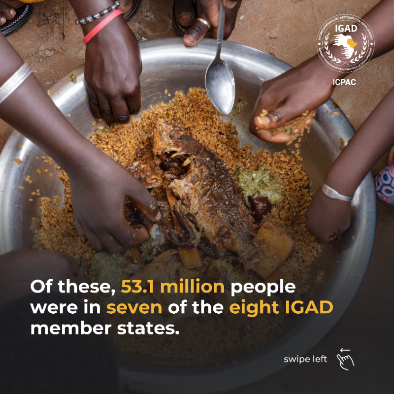 IGAD_CPAC's tweet photo. 🍲 The region continues to face severe acute food insecurity, including risk of famine in #Sudan 🇸🇩, with 82.1 million people in 11 of the 13 #FSNWG countries needing urgent aid in January 2025. Of these, 53.1 million are in 7 IGAD Member States.
Latest food security update 👇