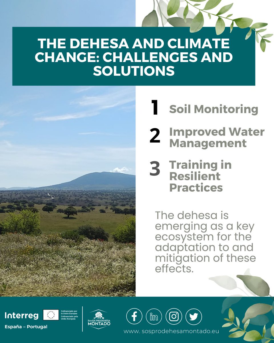 sosprodehesa's tweet image. The @CongresoDehesa emphasised how these ecosystems act as carbon sinks and natural regulators.
🔹 Proposed actions:
1️⃣ Soil monitoring.
2️⃣ Improved water management.
3️⃣ Training in resilient practices.
📢 Relive the congress 👉 congresodehesamontado.com