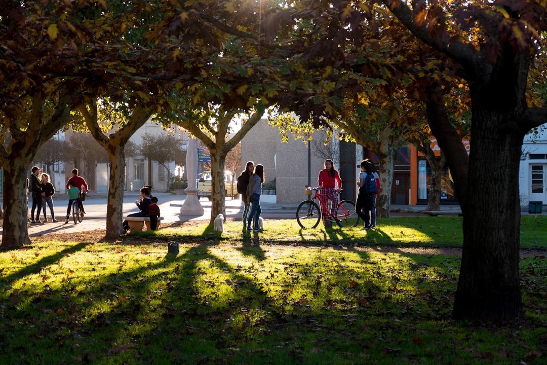 TalkToOpenDoor's tweet photo. Reportedly 1 in 4 university students have a diagnosed mental health issue. This #UniMentalHealthDay, created by @StudentMindsOrg, students can get involved by running campaigns, participating in fundraisers, sharing resources, or starting relevant conversations with friends 🧡 https://t.co/Hw2zBjJVqo