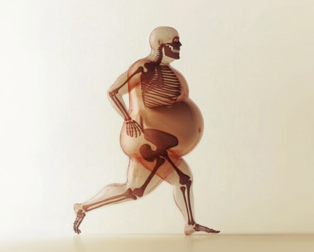 fromfady's tweet photo. The weight loss “drug” that’s 100% free, with zero side effects:

Walking.

It helped me lose 100 lbs - and keep it off.

Here are 7 reasons why it’s so powerful: https://t.co/FB8nU7gK8T