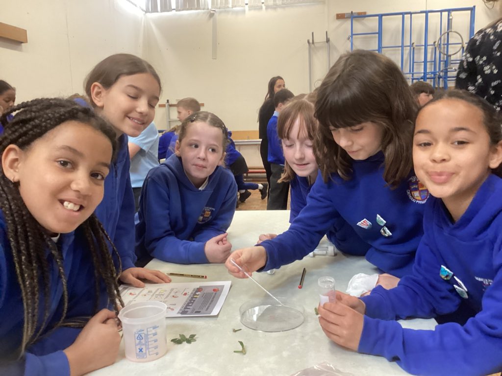 IHOMCPS (@ihomcps1) on Twitter photo 