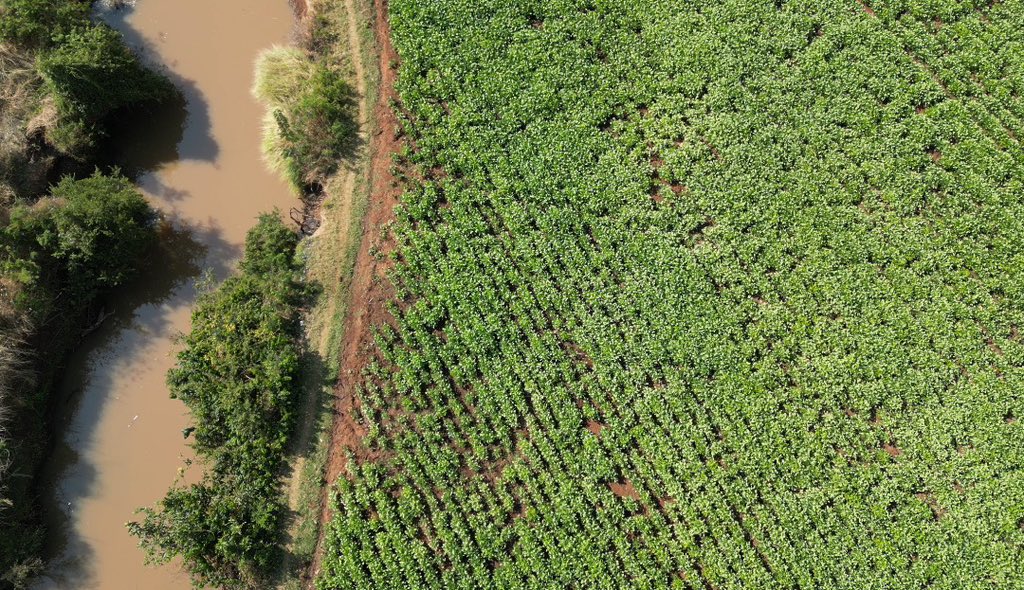 As access to seeds of climate smart soybean varieties is a critical constraint, SOPRI project is employing different strategies to enhance availability &amp; access to seeds of recently released improved varieties. As a result, seed production under irrigated system was initiated.