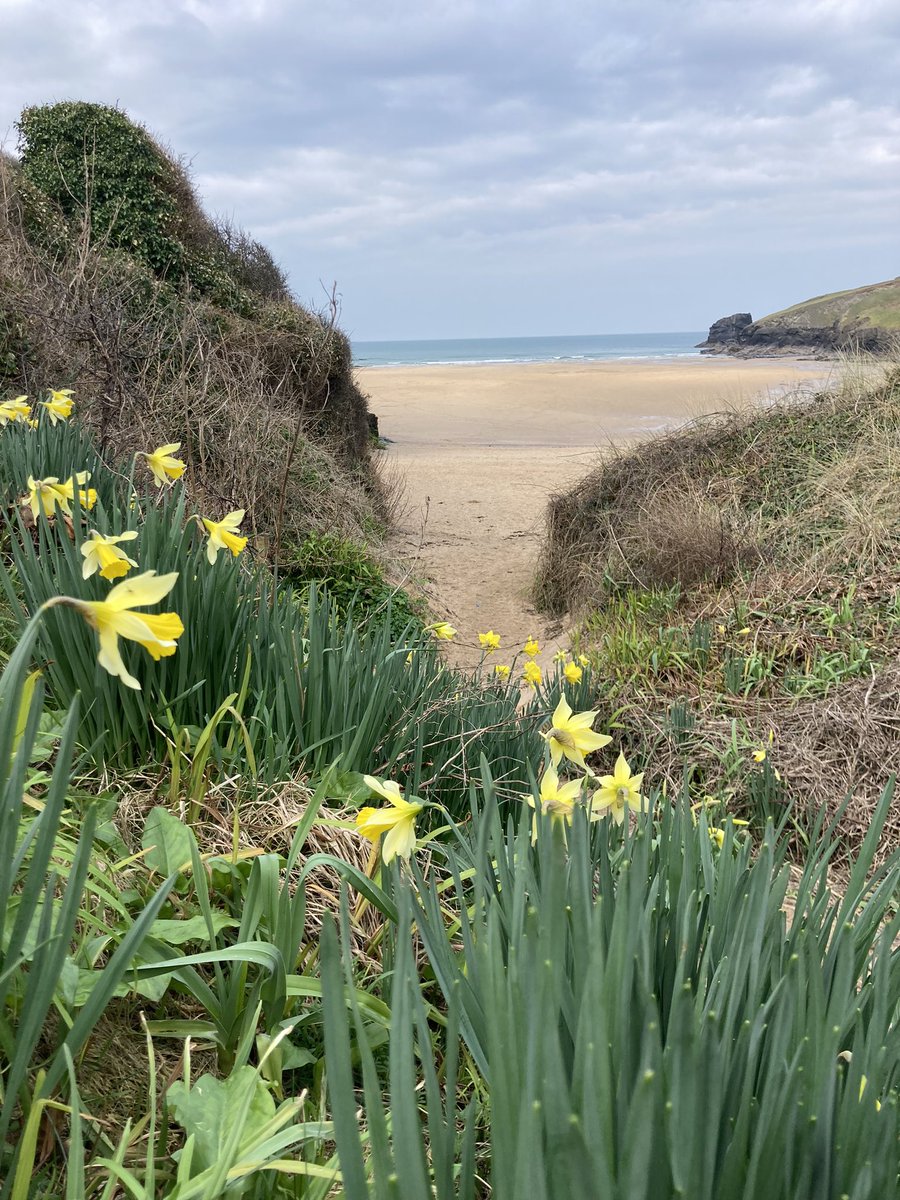 AliceFwrites's tweet image. Only in #Cornwall #Porthcothan 🌊