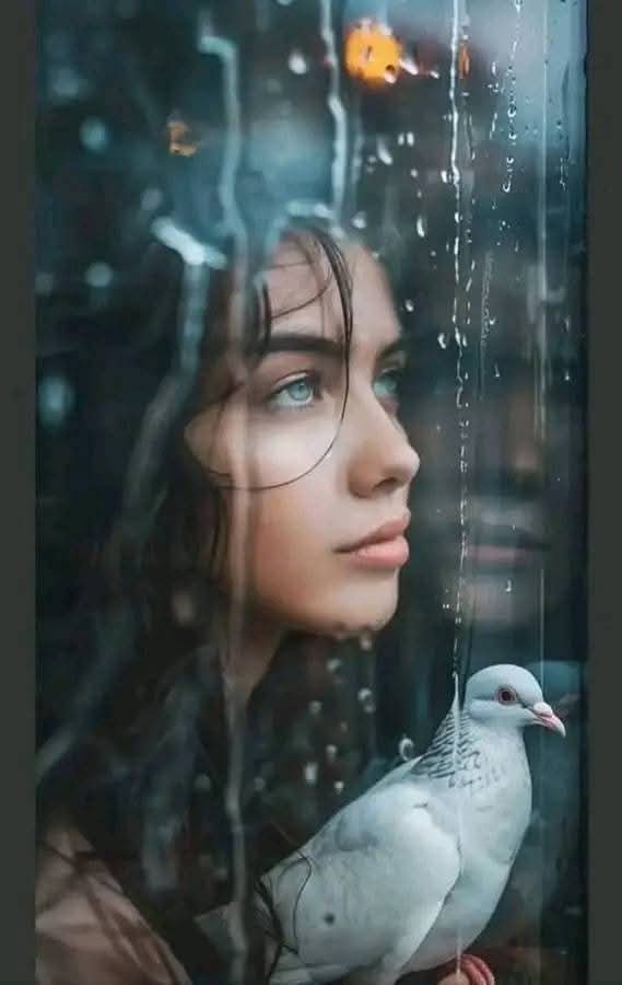 انا الشعر والنثر
انا بيت القصيدة
اسكن بين فواصل عينيك
انا أبجدية عينيك
وكل حرف علئ كتفي
انا اللغة والشعر والقمر
#رااقت_لي 🩶 💙 💛
#مساكم_الشعر_والقصيدة