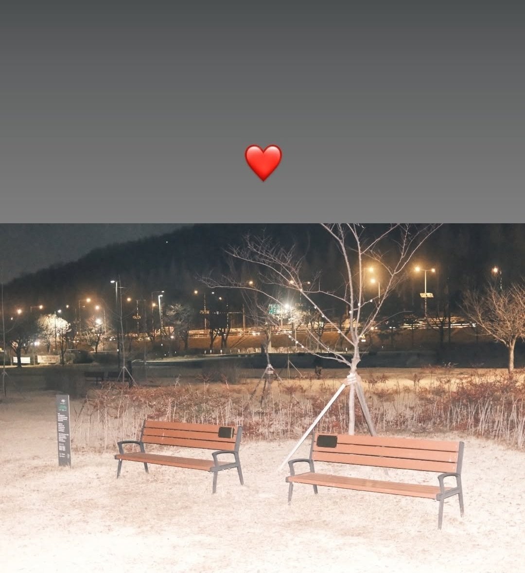 indwell931028's tweet photo. 250313 서함 in 서함숲 🌳

와줘서 고마워 서함아💜
추운데 언능 들어가🥲
사인은 마음만으로도 고마워

#박서함 #parkseoham #서함숲 https://t.co/U3Ghj1PbcR
