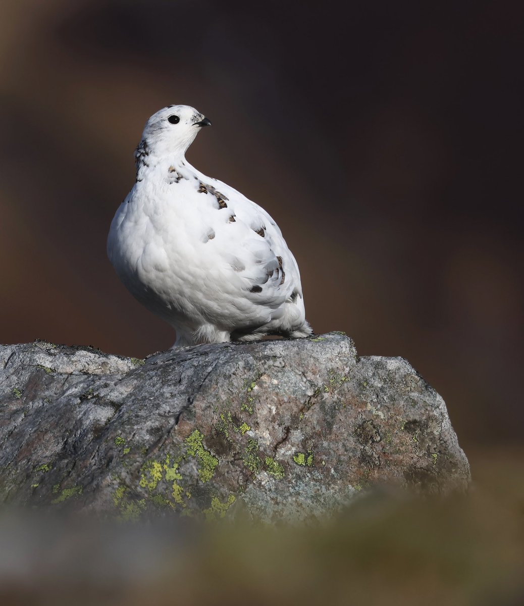 Paul Coombes 📷 tweet media