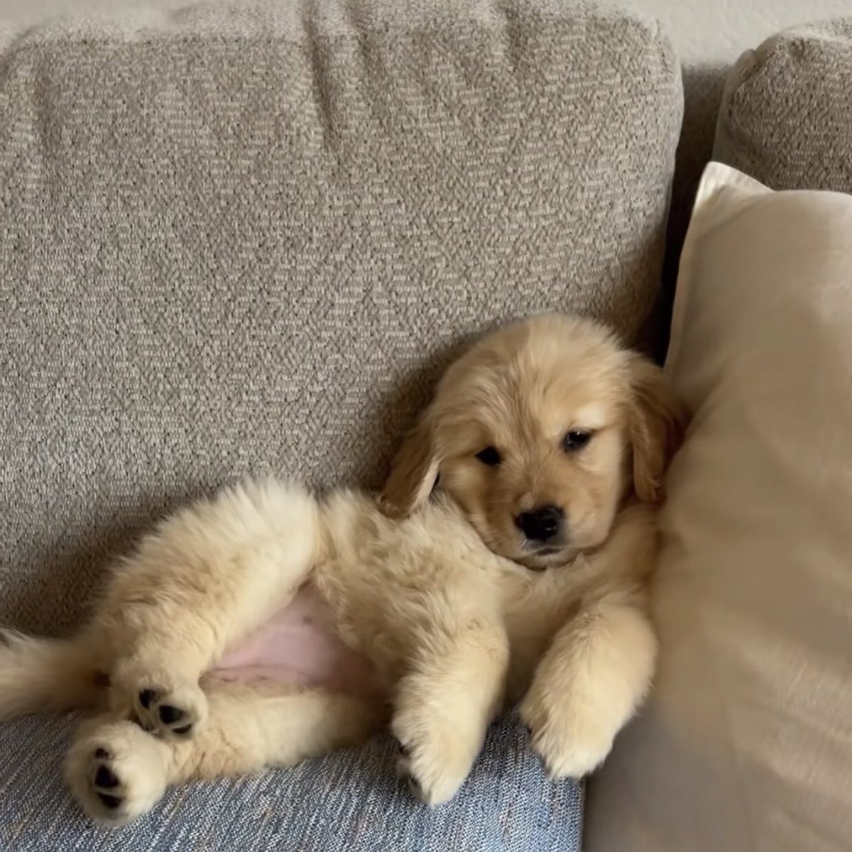 บอกรักก่อนจิ เด๋วให้จุ้บ