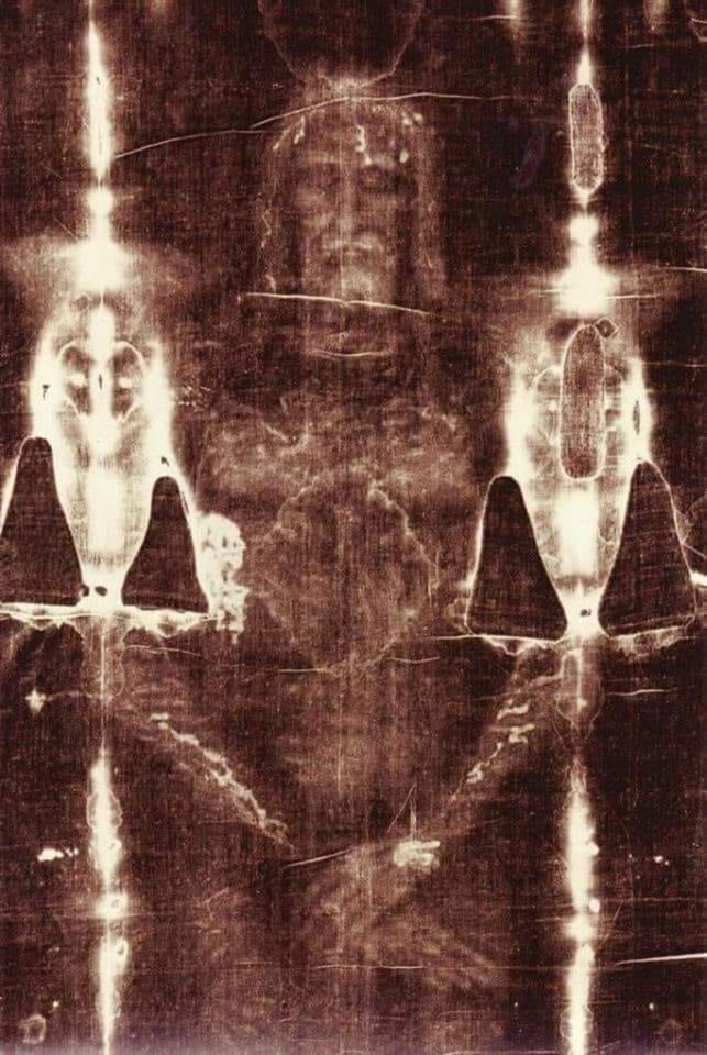 Yared Scott tweet media