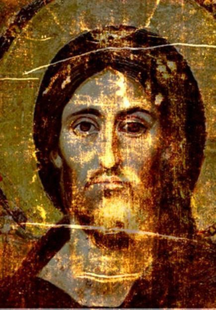 Yared Scott tweet media