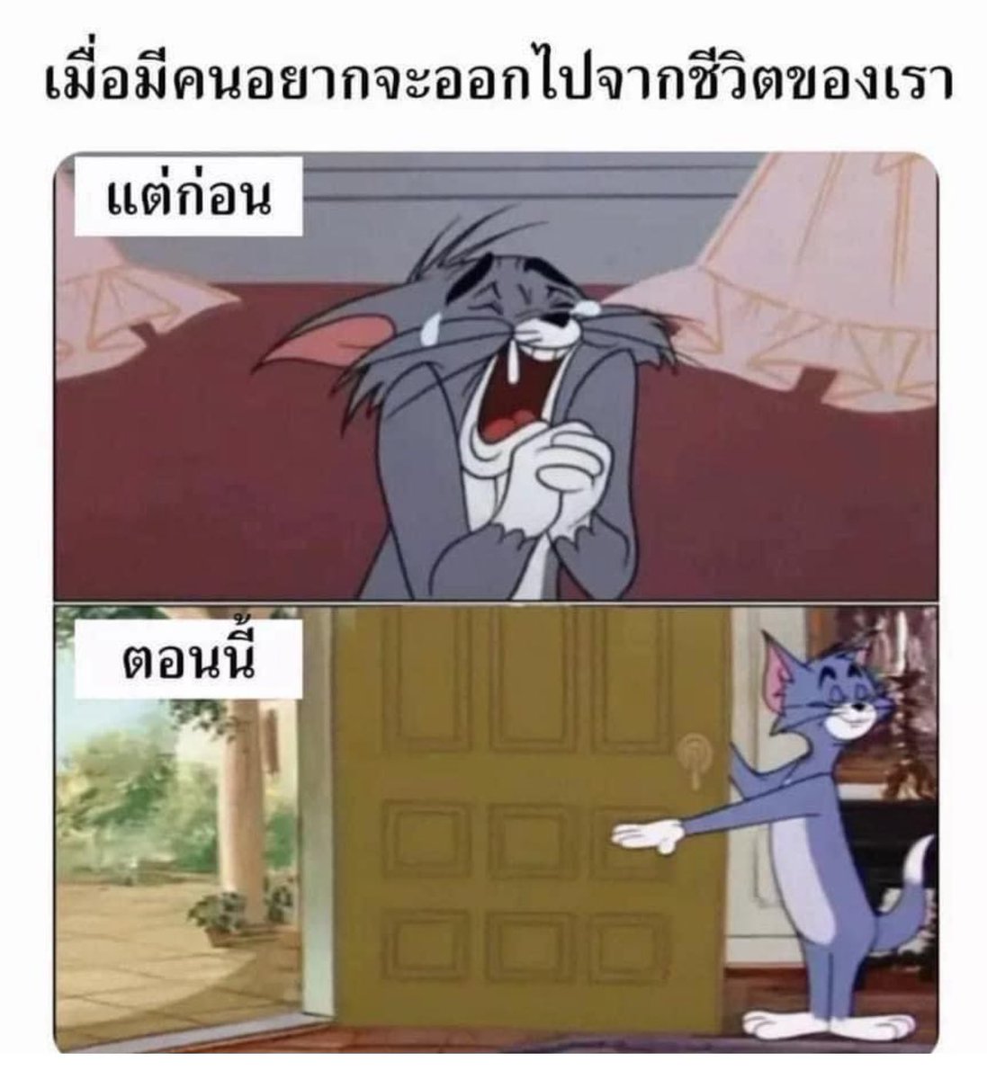 ใช่เลย จริงชิบหาย5555555555