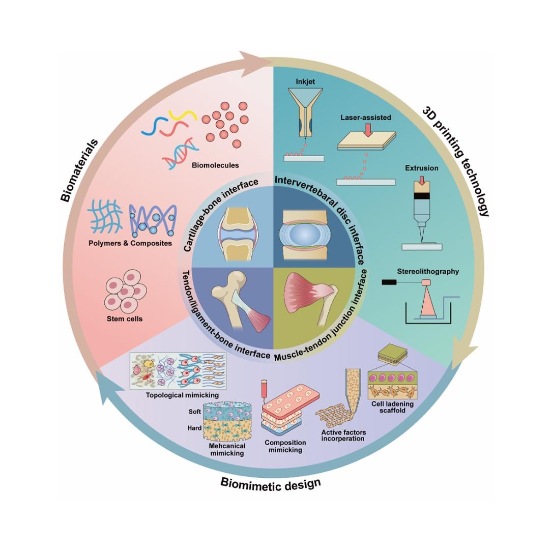 Editors of Advanced Drug Delivery Reviews (@addreditors) on Twitter photo ADDR 50 days' free access: 3D printing in musculoskeletal interface engineering: current progress and future directions.
By Xin Zhao & coworkers <a href="/HongKongPolyU/">The Hong Kong Polytechnic University (PolyU)</a>
#3Dprinting
kwnsfk27.r.eu-west-1.awstrack.me/L0/https:%2F%2… ADDR 50 days' free access: 3D printing in musculoskeletal interface engineering: current progress and future directions.
By Xin Zhao & coworkers <a href="/HongKongPolyU/">The Hong Kong Polytechnic University (PolyU)</a>
#3Dprinting
kwnsfk27.r.eu-west-1.awstrack.me/L0/https:%2F%2…