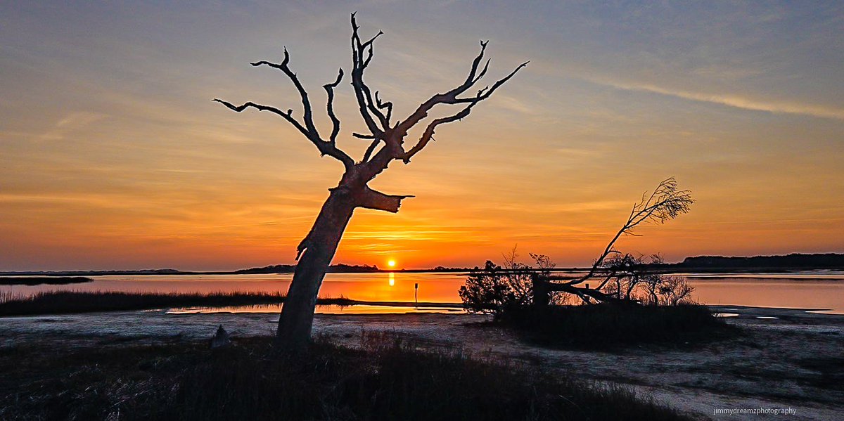 Jimmydreamsmb's tweet photo. Good morning &amp; the boneyard Elk tree looks lovely in the morning rays of the sun at Oyster landing at HBSP😊👌 #sunrisers 
@AndrewWMBF @EdPiotrowski @ScottyPowellWX @SCDNR 
@weswyattweather 
@LCWxDave @WLH1972 
@HammockCoastSC
#Wednesdayvibe #PositiveVibes #Localphotographer https://t.co/aiF8cPIC9X