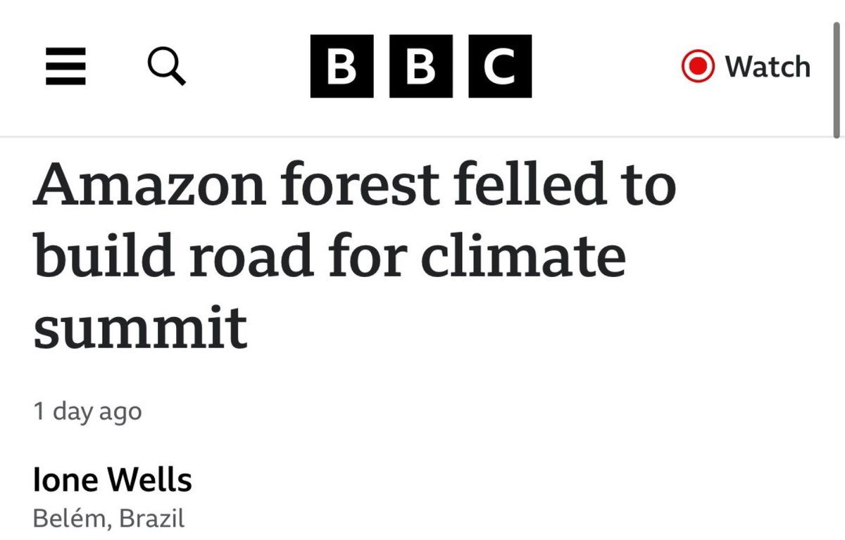 AvApe🦋 tweet media