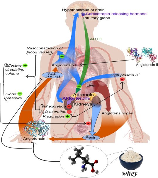 Sebastijan Orlic tweet media