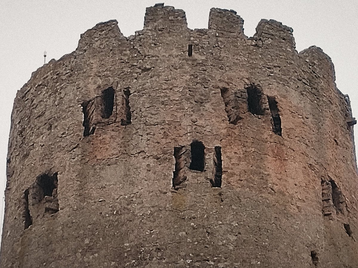 David Pujadó i Cercó tweet media