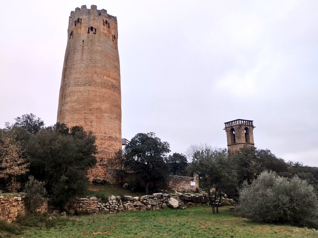 David Pujadó i Cercó tweet media