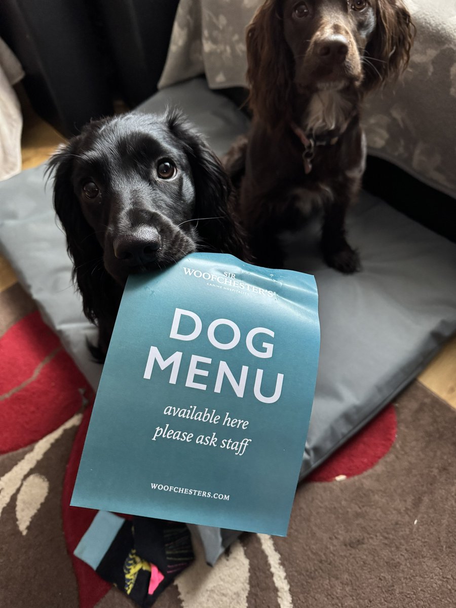 Do you think the #pups are trying to tell me something???