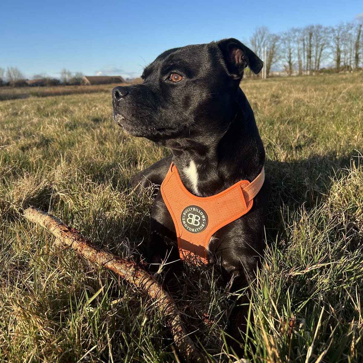 Baby Frank & his teddy, Edward 🧸🏴󠁧󠁢󠁷󠁬󠁳󠁿 tweet media
