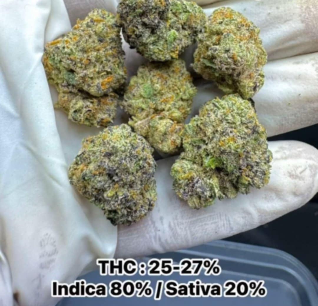 StockGShop1's tweet photo. Vape cannabis 1800 /1mg 
Weed indoor 50/100 =1g
Outdoor 30/50 =1 g. 100g 3000
เศษทริม 5g100 indoor
#กัญชาเชียงใหม่ #กัญชาog #กัญชาแม่โจ้ #กัญชาแม่โจ้ #กัญชาอัดแท่ง #กัญชาog #weedthai #weed #cannabis #กัญชาเชียงใหม่ https://t.co/eVPtOShNwW
สันทรายแม่โจ้ เมา100% Cnx can sent https://t.co/sFv2G4nahu