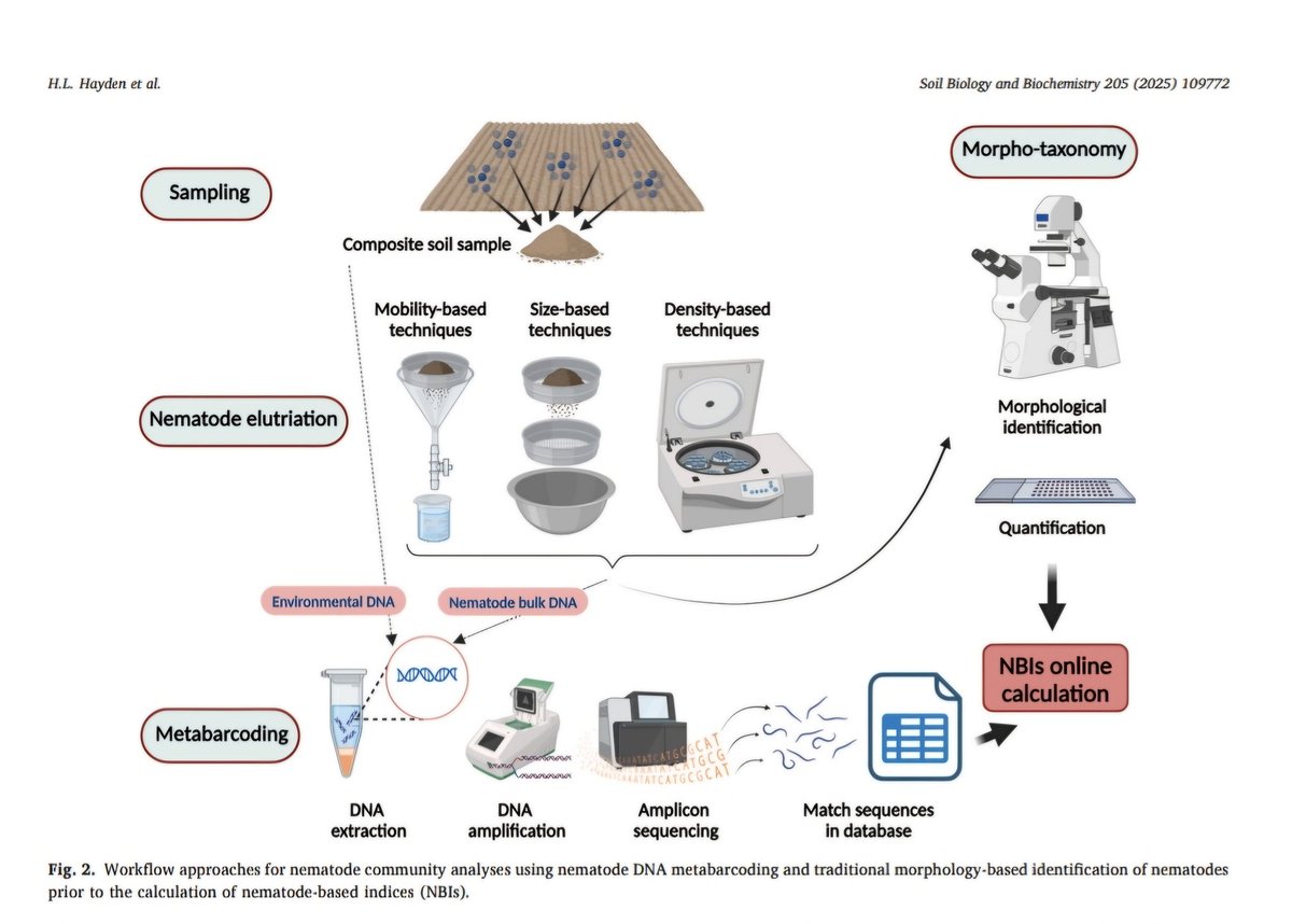 Workflow approaches for nematode community analysis and estimating nematode-based indices...