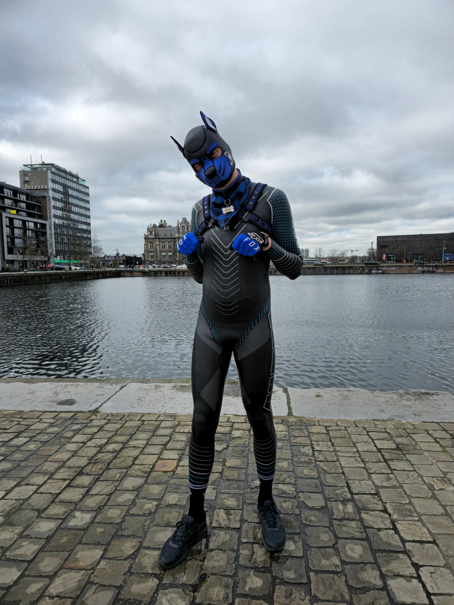 Kyalit➡️ EF29 (@kyalitthewolf) on Twitter photo Couldn't resist getting a picture at the water when wearing my wetsuit.
Thanks <a href="/SwaggyShorkAD/">Pup Artemis 🔜 NFC, Darklands</a> for helping me with the picture. Couldn't resist getting a picture at the water when wearing my wetsuit.
Thanks <a href="/SwaggyShorkAD/">Pup Artemis 🔜 NFC, Darklands</a> for helping me with the picture.
