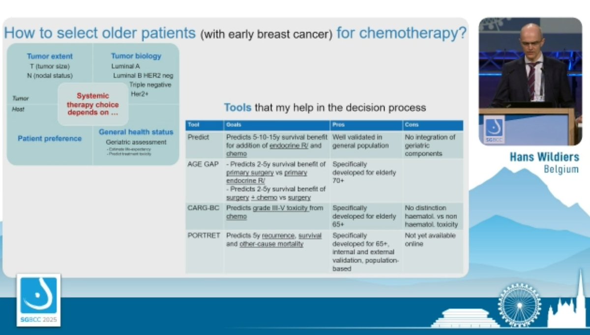 How to select older patients with EBC for chemotherapy.  Useful tools for clinical practice. <a href="/SG_BCC/">SGBCC</a>