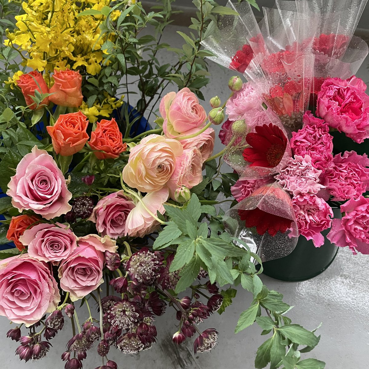 9RoundR's tweet photo. 生花はホント鮮やかで💫当たり前だけど生き生きしてるな〜🌹
デザインされるのを待つ花々
#roundr #ラウンドアール #生花 #春の花 https://t.co/kNSJ57cJX2