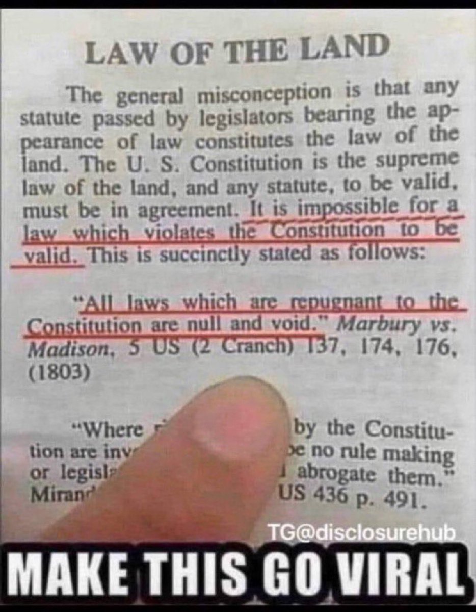 Mr PitBull tweet media