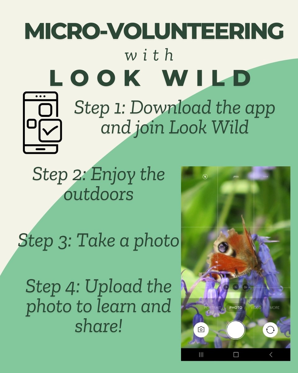 LANSS (@lanss_uk) on Twitter photo For #NationalScienceandEngineeringWeek this week, why not get involved in FREE micro-volunteering with Look Wild and <a href="/lakedistrictnpa/">Lake District</a> and join the biggest citizen’s science project that National Parks have ever undertaken!
lanss.uk/opportunities/…
#CumbriaVolunteering For #NationalScienceandEngineeringWeek this week, why not get involved in FREE micro-volunteering with Look Wild and <a href="/lakedistrictnpa/">Lake District</a> and join the biggest citizen’s science project that National Parks have ever undertaken!
lanss.uk/opportunities/…
#CumbriaVolunteering