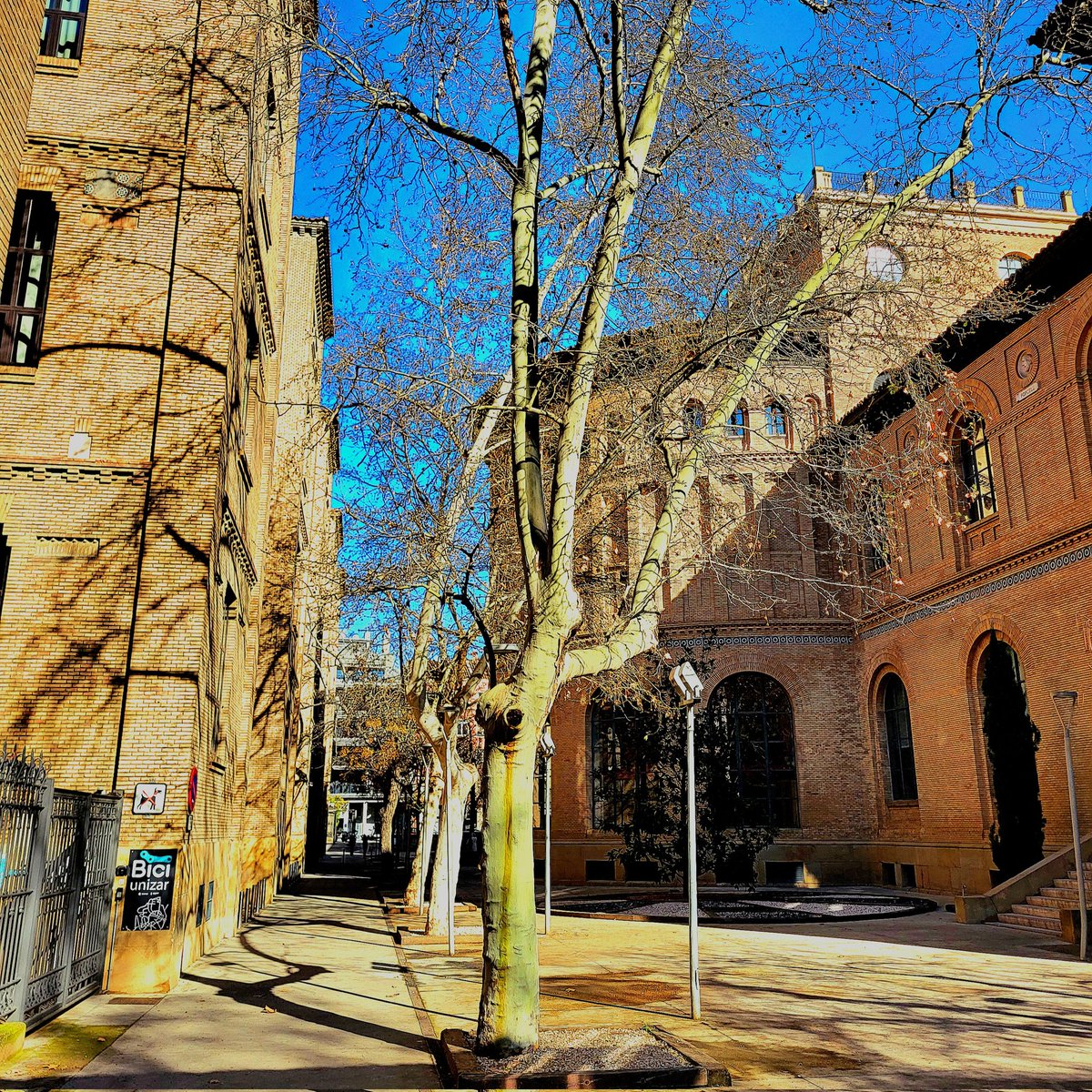 🏛 Gran día ayer en la <a href="/unizar/">Universidad Zaragoza</a>. Un placer estar en el tribunal que otorgó merecidamente una plaza de PPL a <a href="/Marina__Morales/">Marina Morales</a>. Aunque no salen en la foto, disfruté mucho de la compañía de <a href="/VictorMontuenga/">Víctor Montuenga</a>, <a href="/jvelilla_/">Jorge Velilla</a>, Marcos Sanso e Inma García 🫂