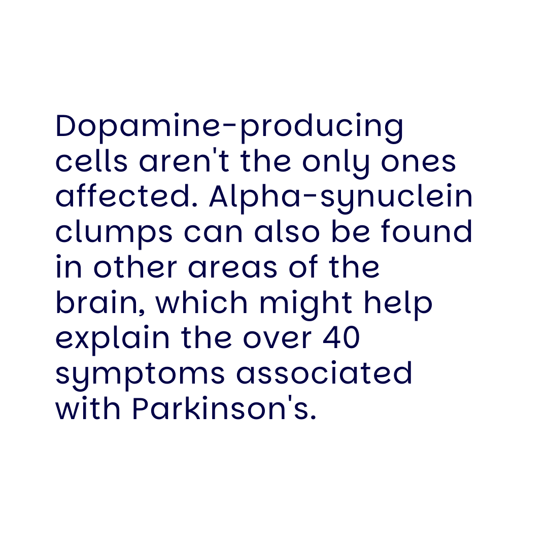 This #BrainAwarenessWeek we're raising awareness around what areas of the brain are affected in Parkinson’s. 

To learn more, visit: prksn.uk/4bFbvGo