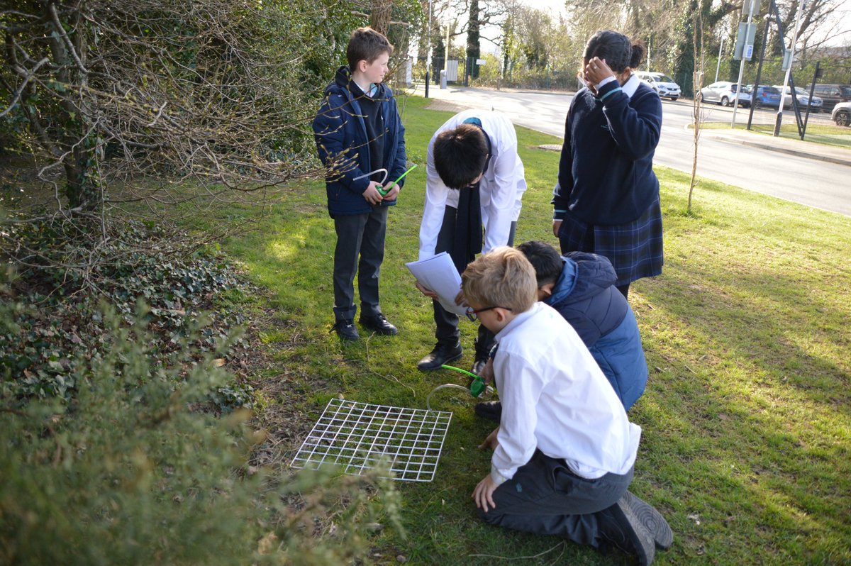 NAISDublin's tweet image. As part of Service as Action in the MYP Programme, Grade 10 students are guiding Grade 6 on a biodiversity adventure around our school.
Service as Action encourages students to engage with their community, take action, and reflect on their impact.
#CreateYourFuture