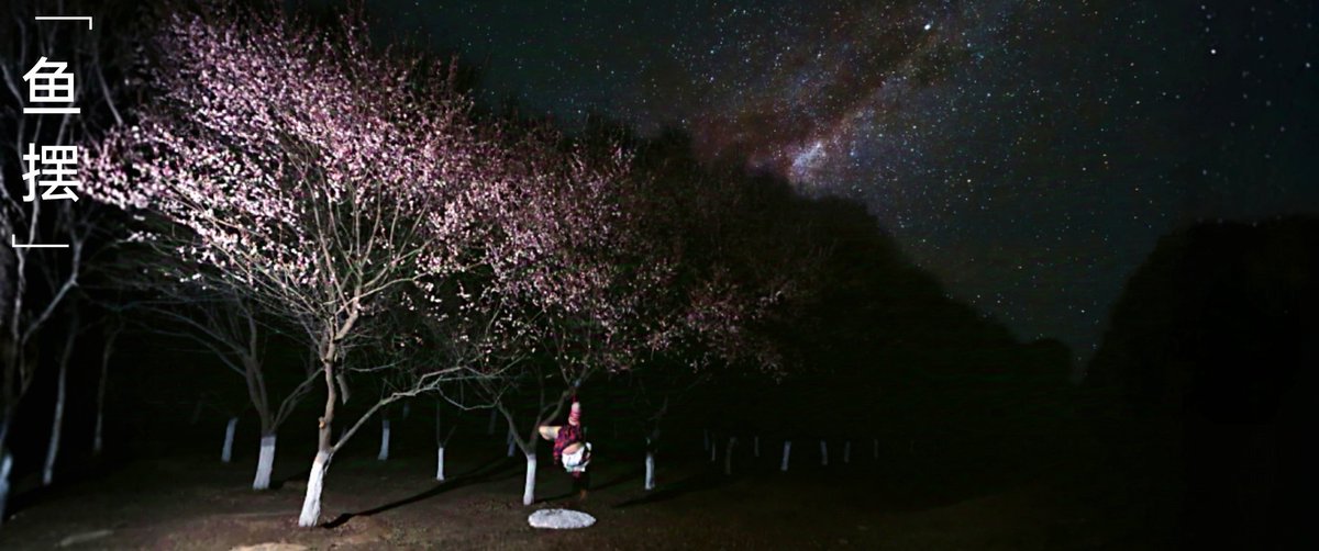 山樱花落红飘雨 野草烧残青入烟
🕸️:<a href="/huiziqi2/">惠梓琪</a>
😼:<a href="/chenni_0107/">沉溺～</a>
📷:<a href="/yubaibai_289/">她与晚风皆过客（魚擺擺）</a>