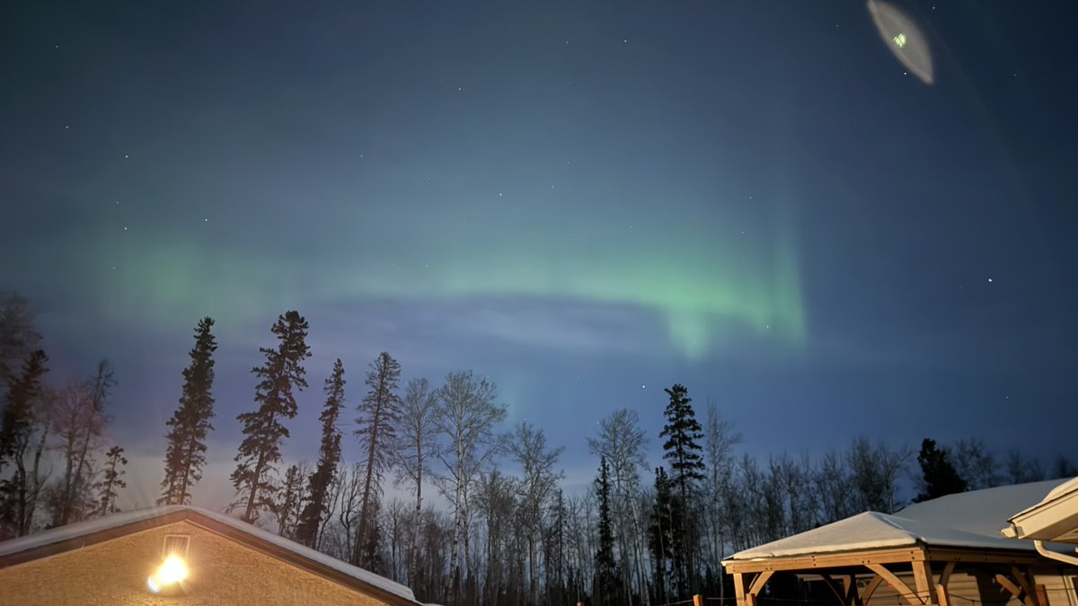 xenomnk's tweet image. 