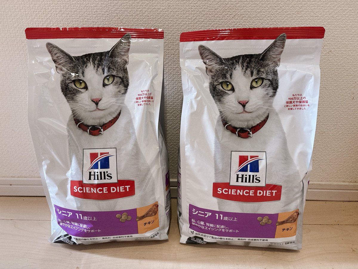 フードの寄付が2袋届いております。
大切に使わせていただきます🙇🏻‍♀️
ありがとうございます🐈