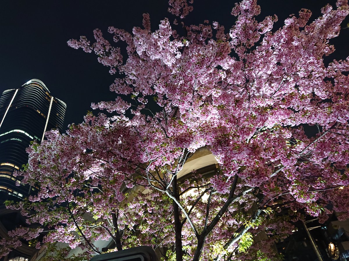 Elissa Tunisophile tweet media