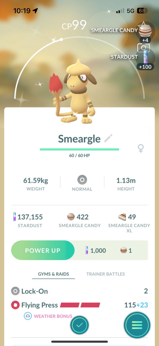 Good morning! May all your Smeargle reprints be shiny!✨ ✨