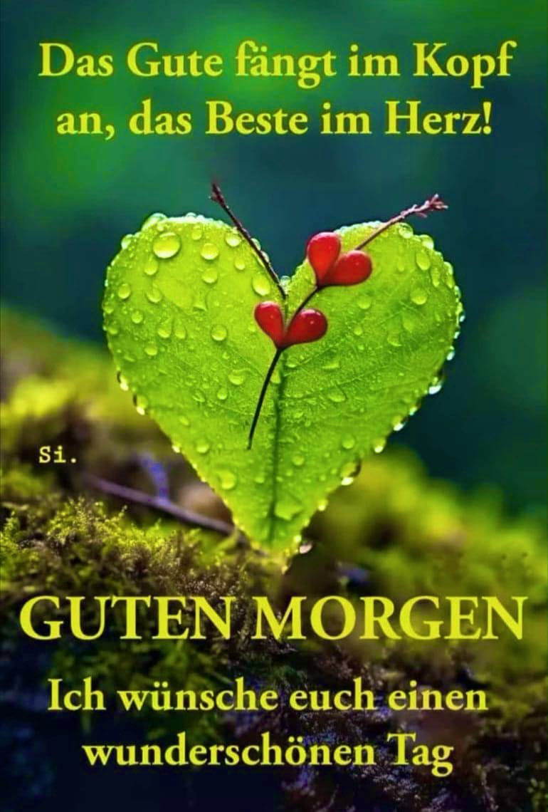 joadoit's tweet image. Guten Morgen ☕️ die Woche ist schon wieder fast vorbei.  Alles rast zu schnell  an einem vorbei, also machen wir das Beste daraus