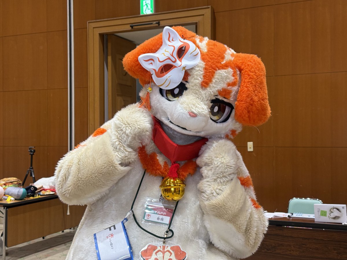 🐾️Haru(春陽)🐱 tweet media