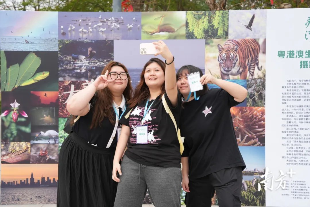 iGuangdong's tweet photo. A photography exhibition📷🖼️ featuring diverse wildlife in the #Guangdong-#HongKong-#Macao Greater Bay Area opened on March 12 in #Guangzhou.

The six-day exhibition brings together over 80 pieces of work.🙌 #OnInGD https://t.co/9Fe47gDRqq @CulturalLingnan @RecordGBA @AlbumGba https://t.co/7ReD2lFt35