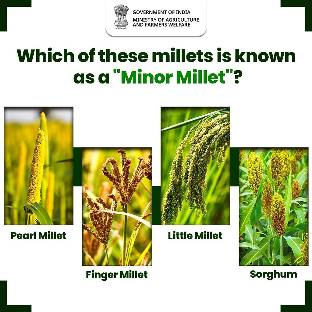 Let us know in the comments

#IYM2023 #ShreeAnna #QuizOfTheDay