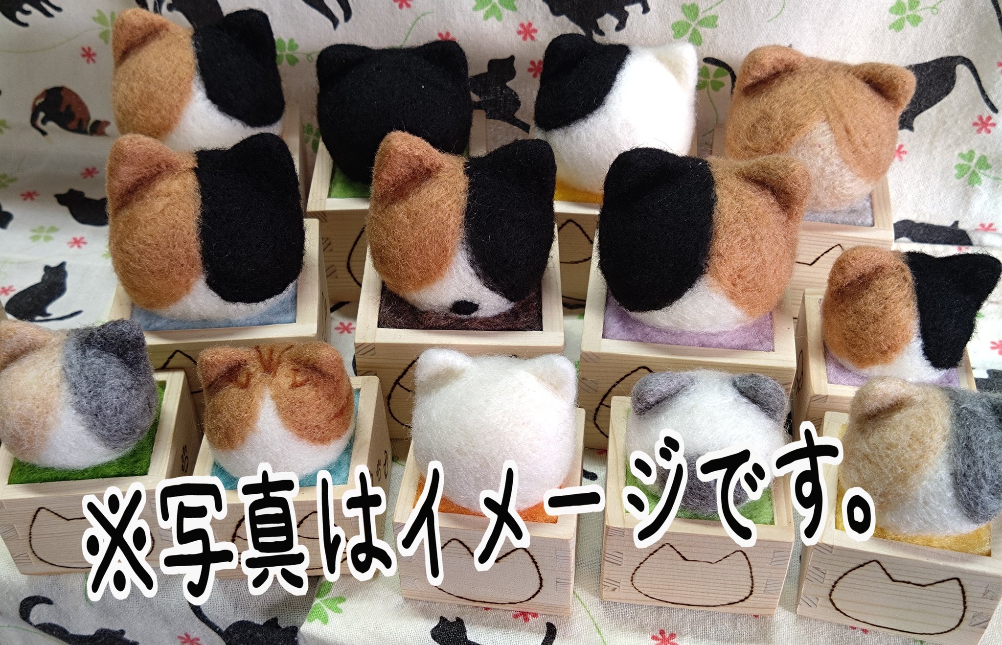 みけねこ。 (@mike_myi) / X