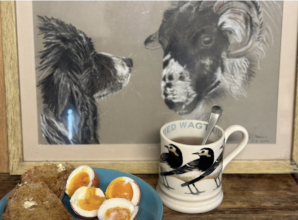 Alison O’Neill ~ Shepherdess (@woolismybread) on Twitter photo Spring Farm ~ grateful for simple things .. Pied Wagtails back in the farmyard and the hens are in lay once more 🪶🪶🪶🥚🥚🥚🥚 Spring Farm ~ grateful for simple things .. Pied Wagtails back in the farmyard and the hens are in lay once more 🪶🪶🪶🥚🥚🥚🥚