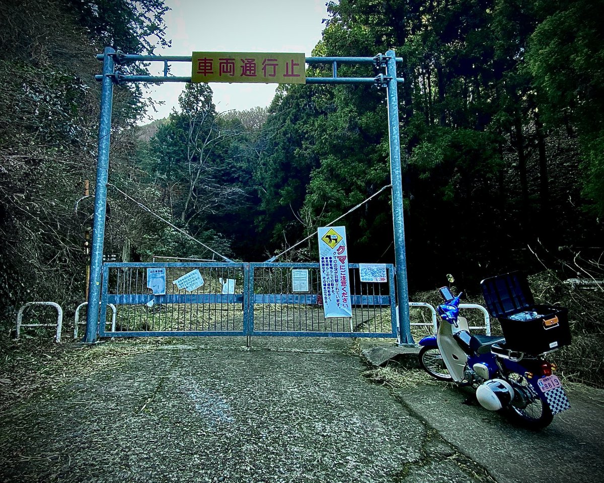 牧草-Makikusa- on X