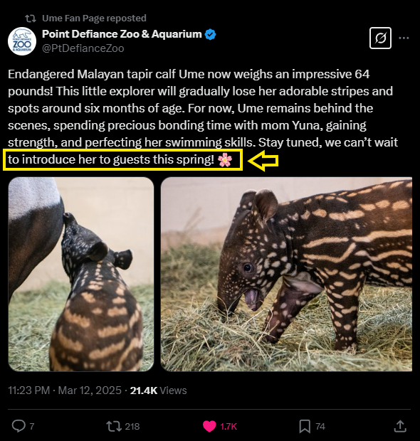 i bought some more $UME at these levels

she will soon be able to be visited by normie guests, i expect hella tiktok posts about her as soon as this happens 👀

200K market cap right now

photon-sol.tinyastro.io/en/lp/DvwpYTcK…