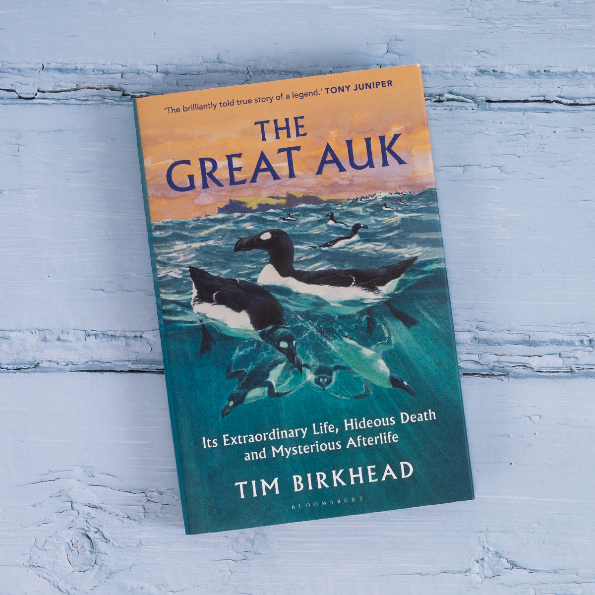 Bloomsbury Wildlife (@chiffchat) on Twitter photo It's publication day for THE GREAT AUK 🌊 🌊
'Mesmerising' The Telegraph
'Brilliantly told' <a href="/TonyJuniper/">Tony Juniper</a>
'Fascinating' <a href="/LeMoustier/">Dr. Rebecca Wragg Sykes</a>
OUT NOW! It's publication day for THE GREAT AUK 🌊 🌊
'Mesmerising' The Telegraph
'Brilliantly told' <a href="/TonyJuniper/">Tony Juniper</a>
'Fascinating' <a href="/LeMoustier/">Dr. Rebecca Wragg Sykes</a>
OUT NOW!