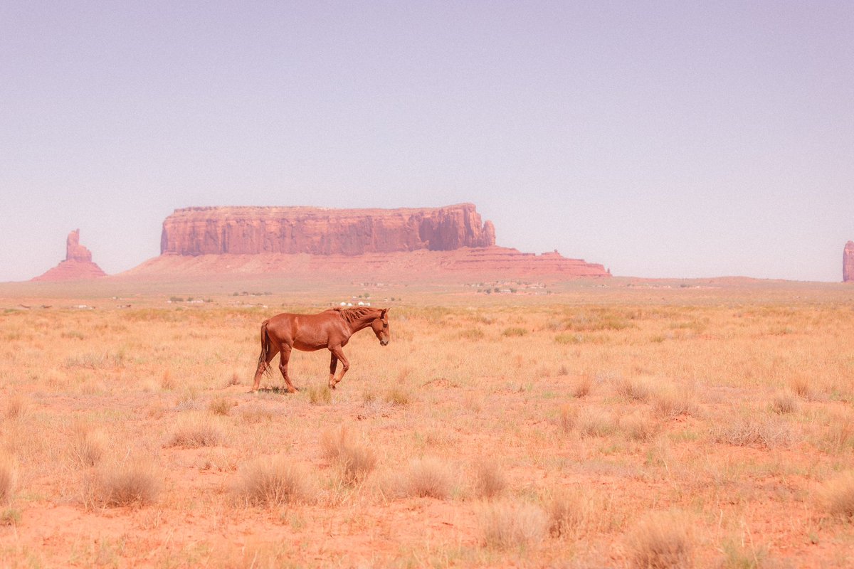 AmericanaAesth's tweet image. The American West