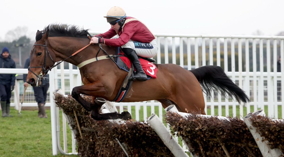 Hot To Trot Racing tweet media
