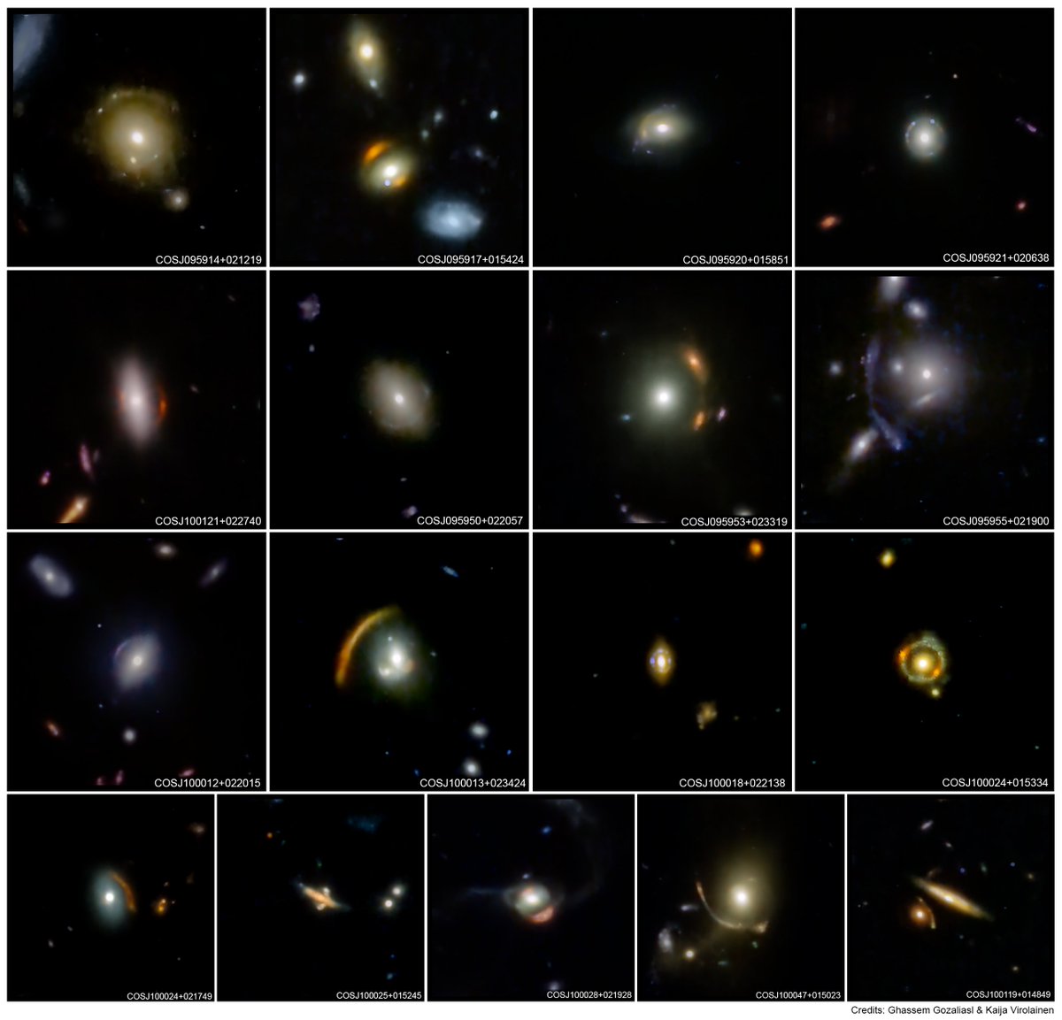 Natalie Hogg tweet media